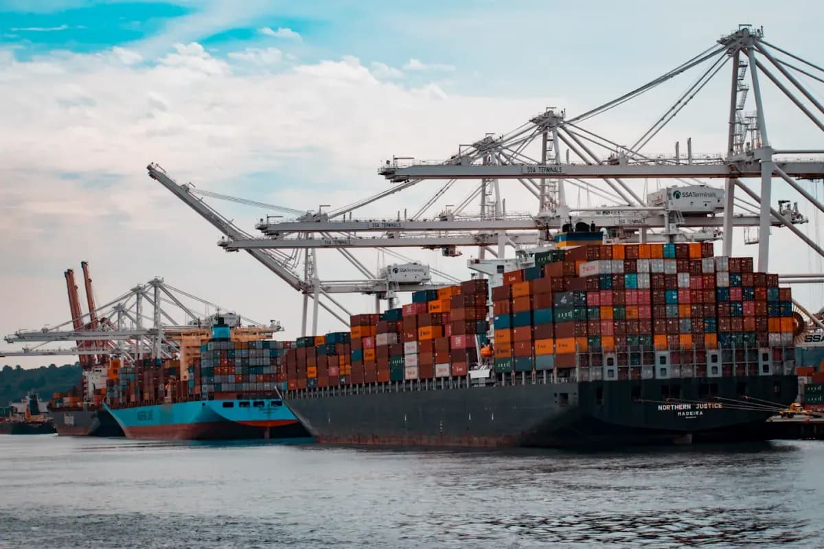 Cargo ships docked at the pier during day