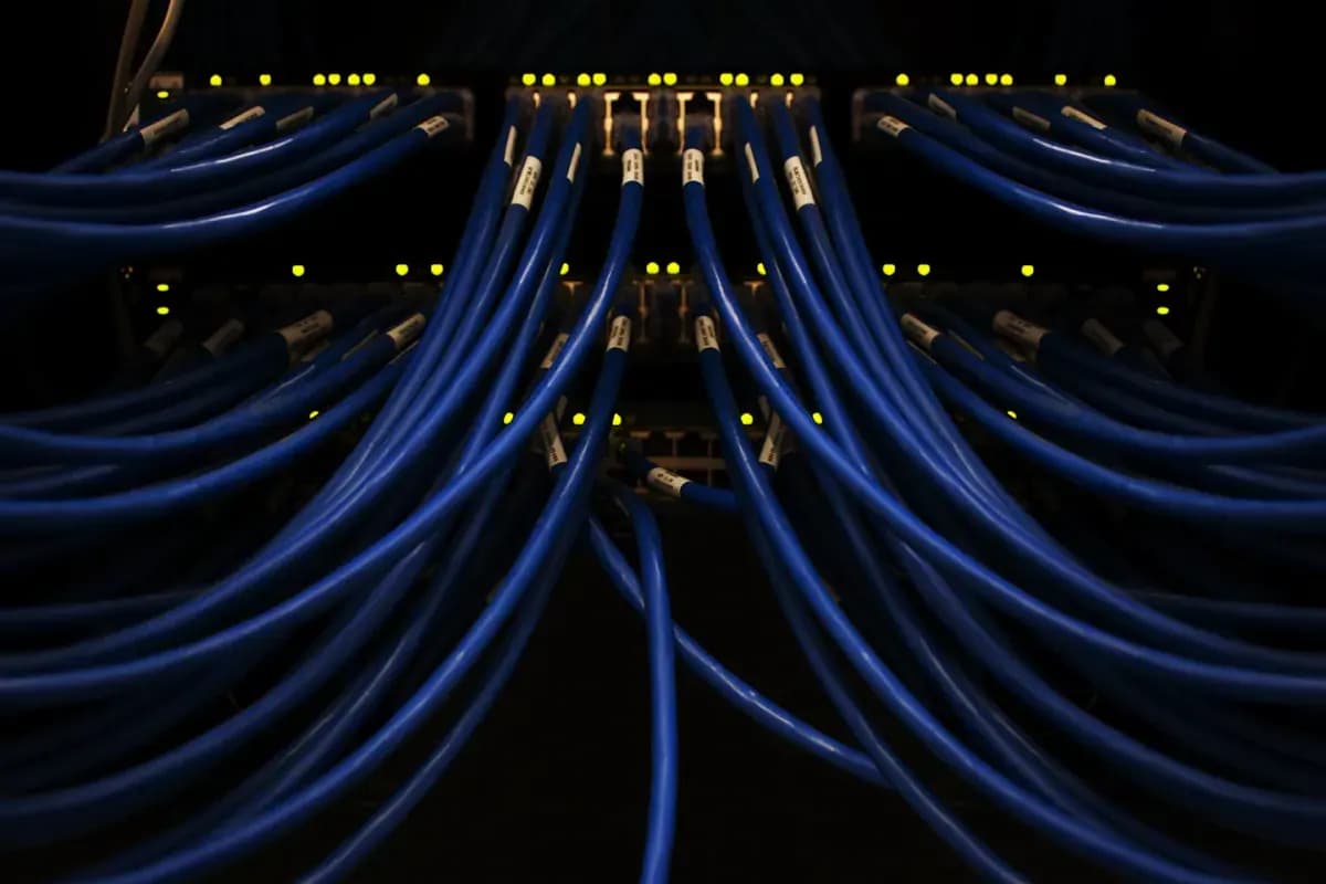 A bunch of blue wires connected to each other